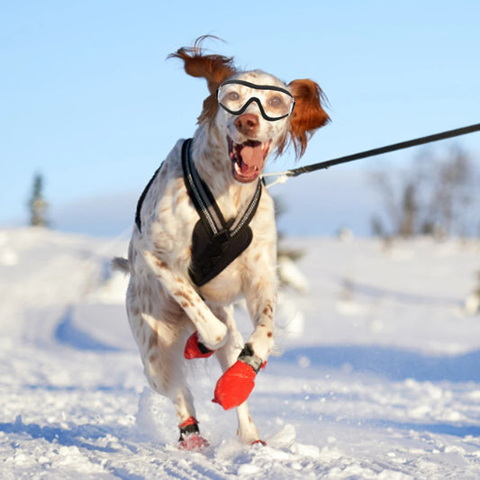 POP ™ Pet Goggles Dog Glasses UV-proof Waterproof Wind-proof And Fog-proof Pet Glasses Adjustable Dog Protective Glasses