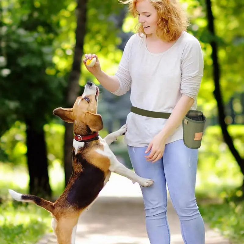 Portable™ Dog Treat Bag Puppy Training Treat Snack Bag Large Capacity Dog Training Snack Reward Waist Bag Pet Feed Pocket