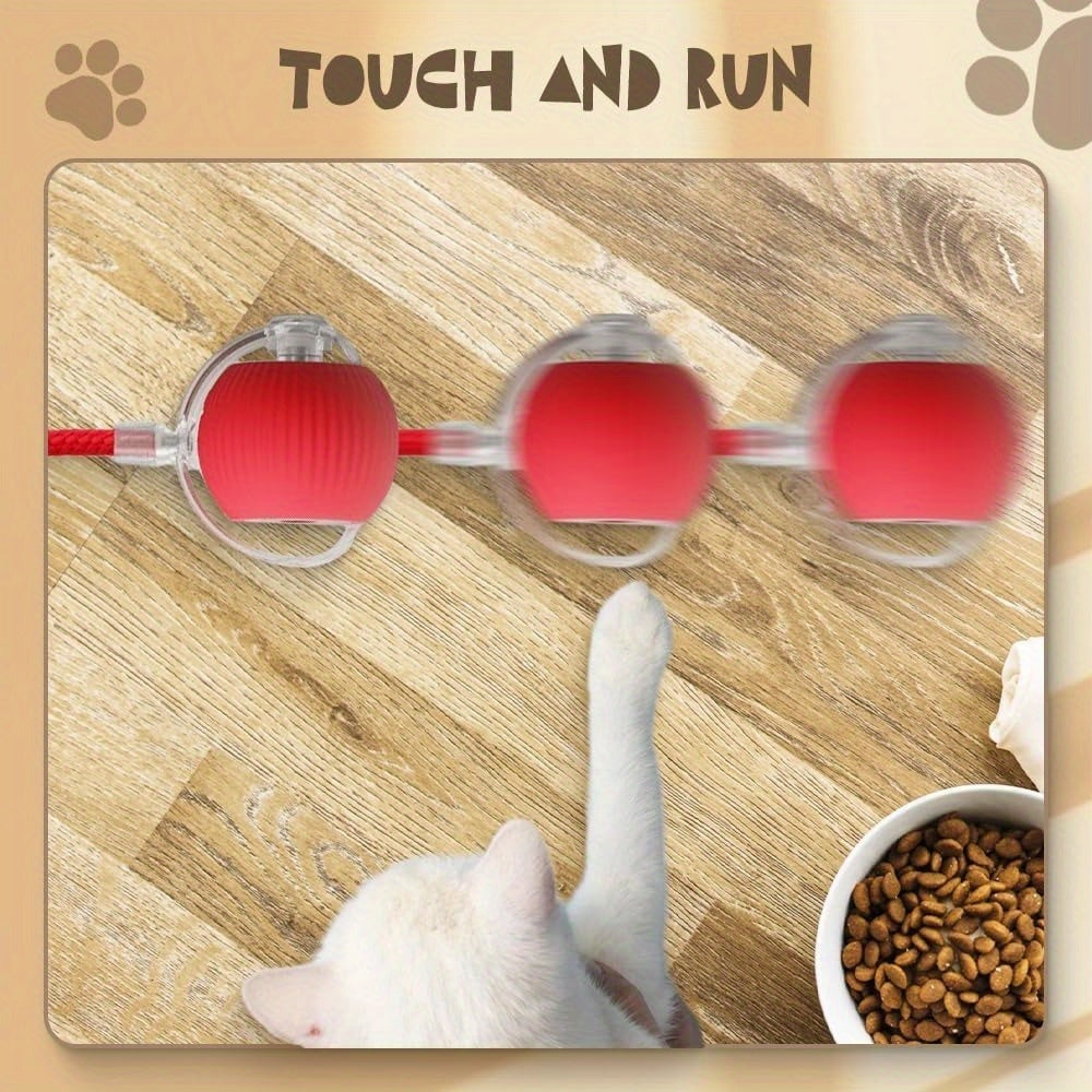 FUN™️CAT TOYS 3pcs Set Fully Automatic 360° Rolling Pet Balls - Grinding & Relief Function, 3 Modes with USB Charging LED Light,
