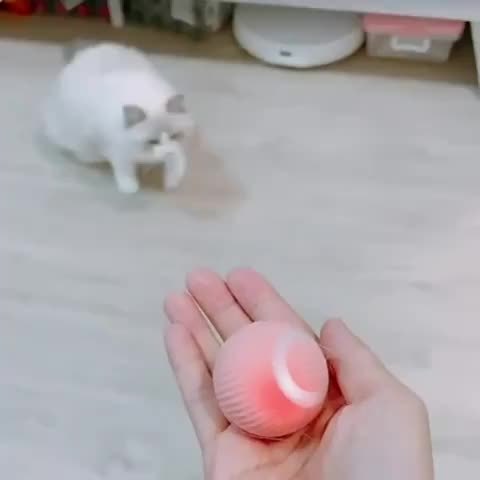 1pc MEOW Smart Interactive Cat Toy Automatic Rolling Ball Self-Entertainment And Teasing Cat Stick Cat Ball Cat Electric Toy