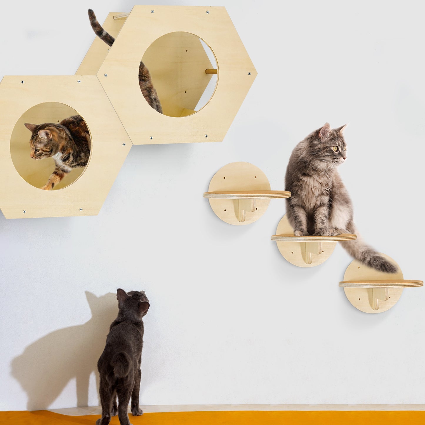 JUMPON™ Cat Wall Furniture, Cat Wall Shelves Fit Cat Up To 15Lbs, 1 Cat Shelf And 3 Cat Wall Steps with Scratching Pad, Cat Climbing Shelf and Perch for Wall, Cat Shelves Wall Mount, Gift for Cat