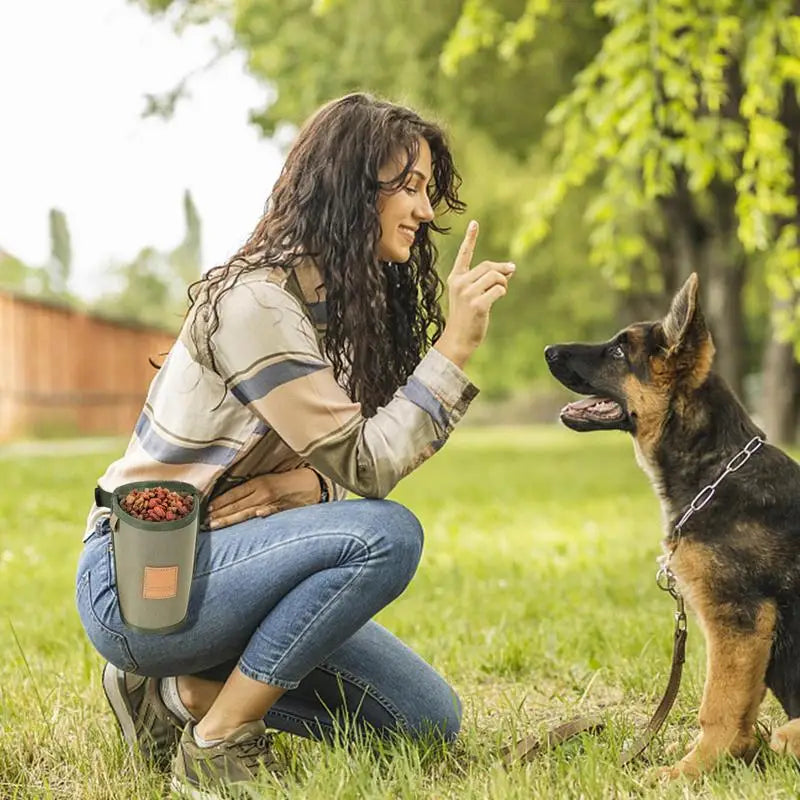 Portable™ Dog Treat Bag Puppy Training Treat Snack Bag Large Capacity Dog Training Snack Reward Waist Bag Pet Feed Pocket