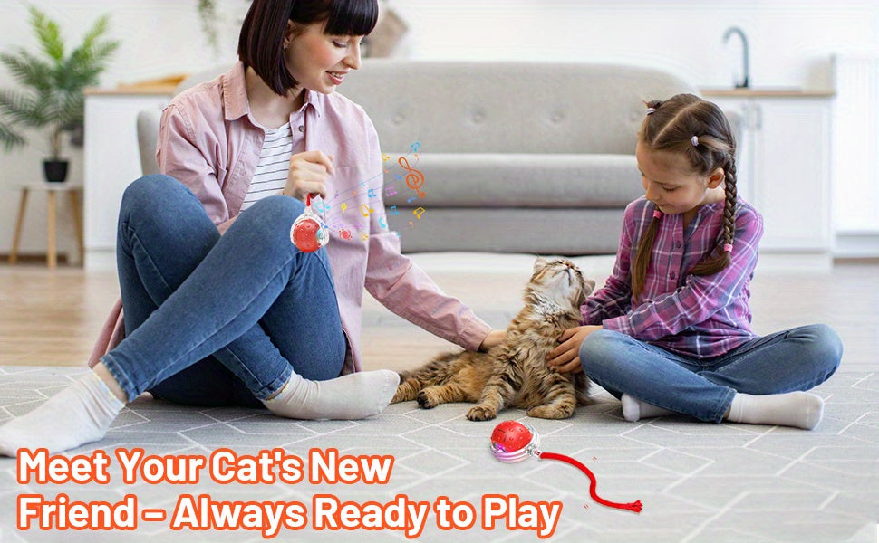 FUN™️CAT TOYS 3pcs Set Fully Automatic 360° Rolling Pet Balls - Grinding & Relief Function, 3 Modes with USB Charging LED Light,